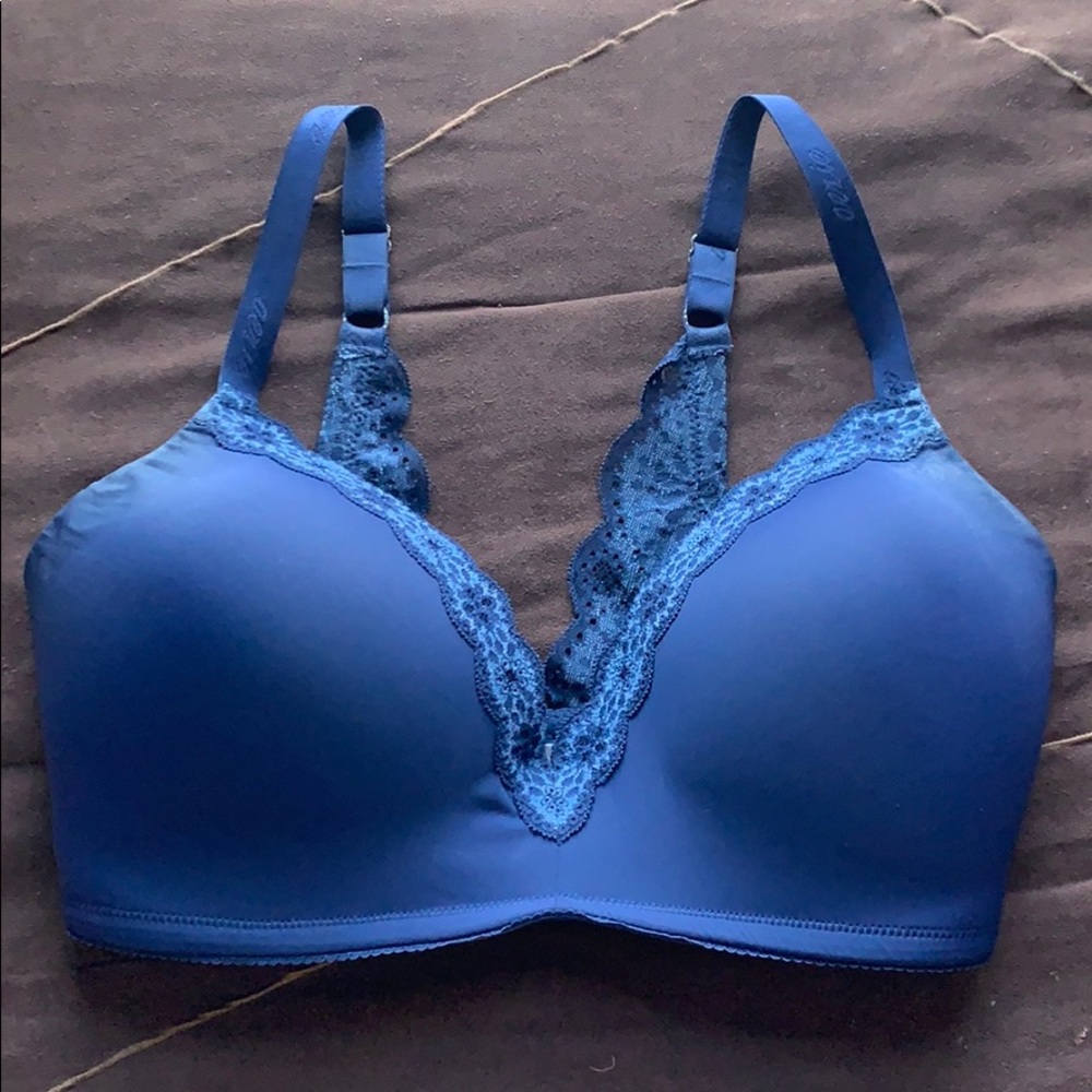 Aerie Blue 34DDD No Underwire Bra